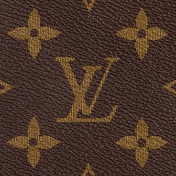 LV - Bolso Speedy 25 con bandolera